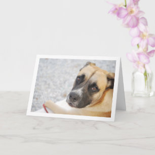 Adorable Puppy Portrait Card