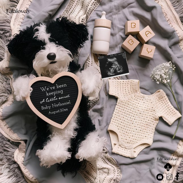 Adorable puppy pregnancy announcement  (Creator Uploaded)