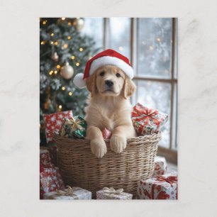 Adorable Puppy with Santa Hat in Basket  Postcard