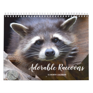 Adorable Raccoons 2025 Calendar