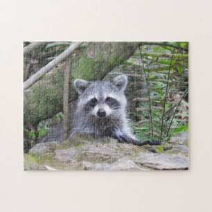 Adorable Racoon in the Forest Jigsaw Puzzle