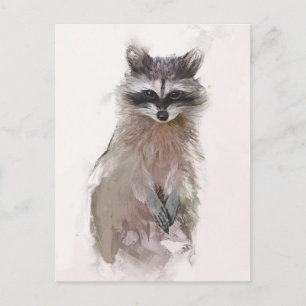 Adorable Racoon Portrait Postcard