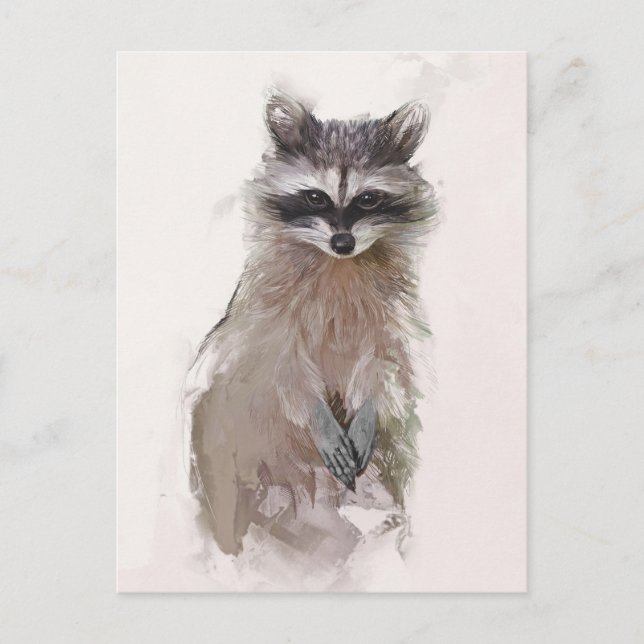 Adorable Racoon Portrait Postcard (Front)