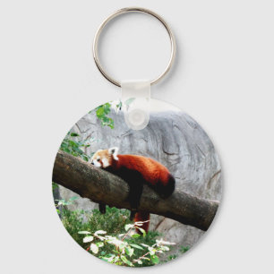 adorable red panda animal lazy funny key ring