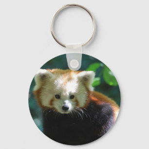 Adorable Red Panda  Keychain