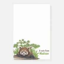 Adorable Red Panda Kids Personalised