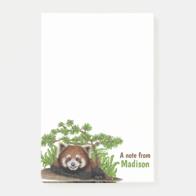 Adorable Red Panda Kids Personalised Post-it Notes (Front)