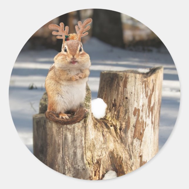 Adorable "Reindeer" Chipmunk Classic Round Sticker (Front)