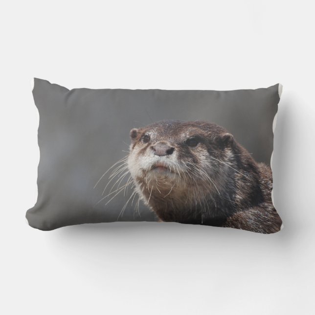 Adorable River Otter Lumbar Cushion (Front)