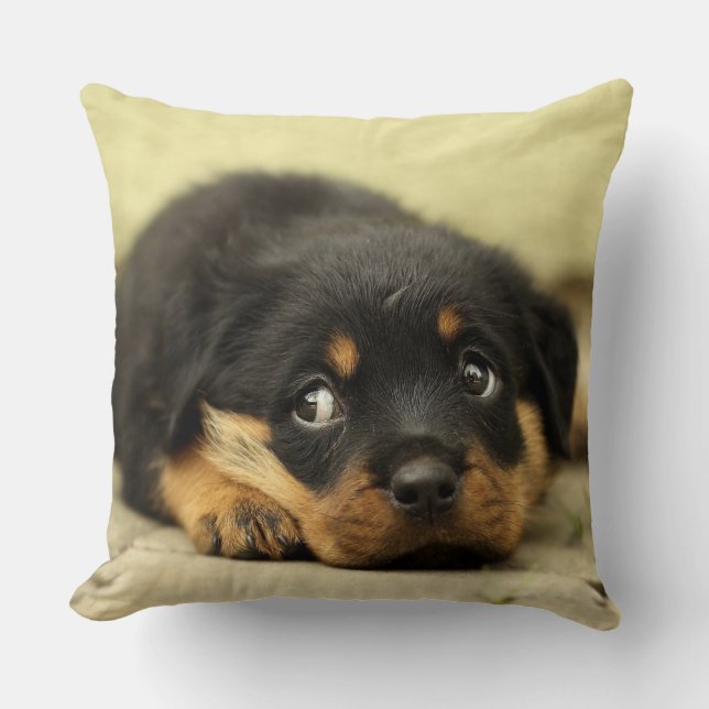 Adorable Rottweiler Puppy Cushion (Front)