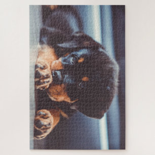 Adorable Rottweiler Puppy Dog Resting Jigsaw Puzzle