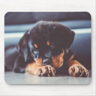 Adorable Rottweiler Puppy Dog Resting Mouse Pad