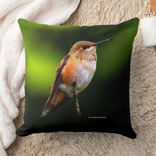 Adorable Rufous Hummingbird on Fruit Tree Cushion (Blanket)