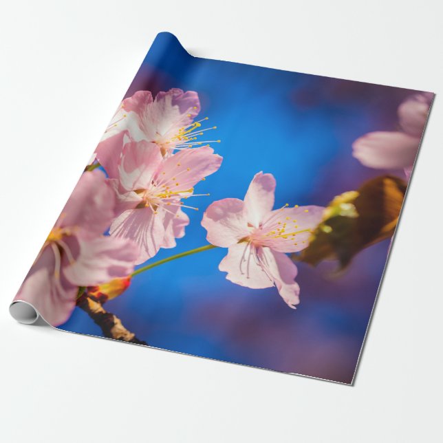 Adorable Sakura Blossoms Wrapping Paper (Unrolled)