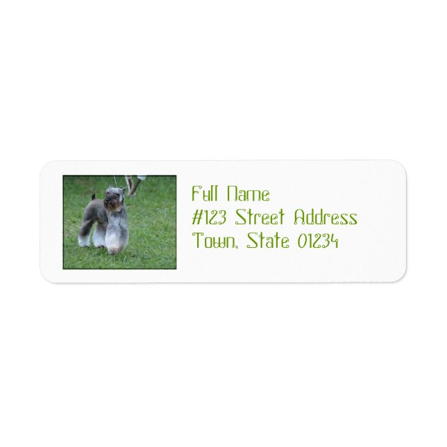 Adorable Schnauzer Return Address Label (Front)