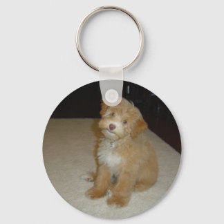 Adorable Schnoodle puppy Key Ring