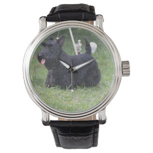 Adorable Scottish Terrier Watch