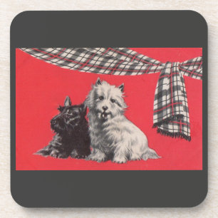 adorable Scottish terriers Coaster