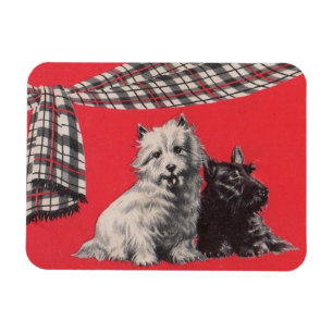 adorable Scottish terriers Magnet