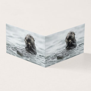 Adorable Sea Otter