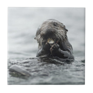 Adorable Sea Otter Ceramic Tile