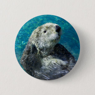 Adorable Sea Otter Cute Blue Water 6 Cm Round Badge