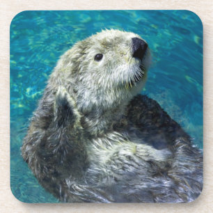 Adorable Sea Otter Cute Blue Water Coaster