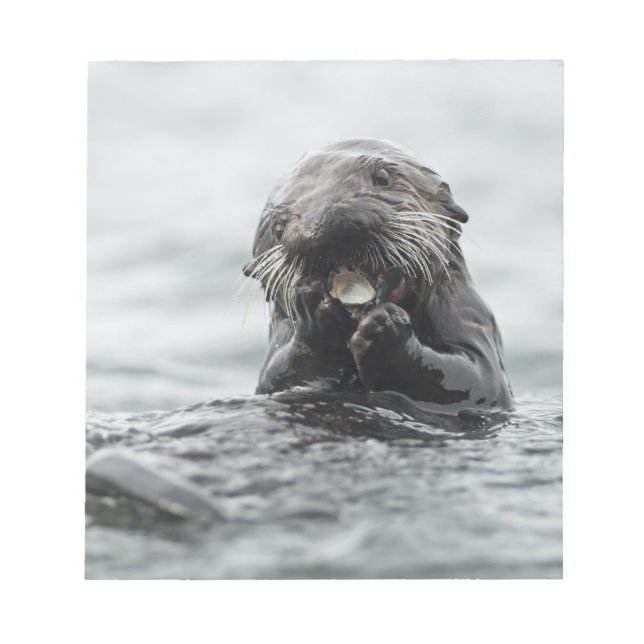 Adorable Sea Otter Notepad (Front)