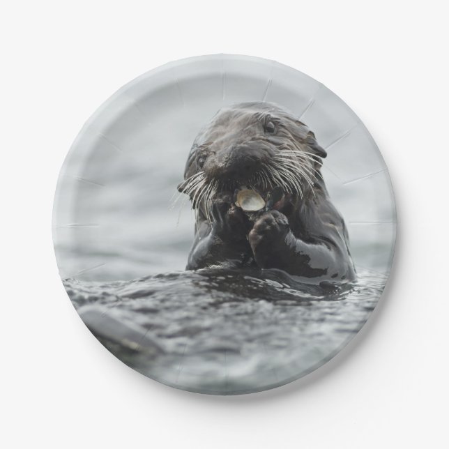 Adorable Sea Otter Paper Plate (Front)