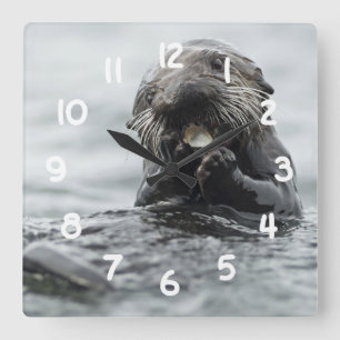 Adorable Sea Otter Square Wall Clock
