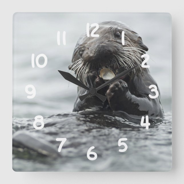 Adorable Sea Otter Square Wall Clock (Front)