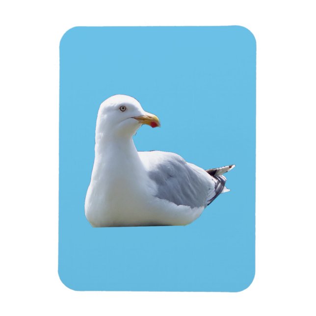 Adorable Seagull Resting Calm Blue Sky Coastal  Magnet (Vertical)