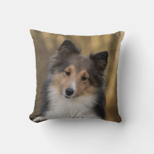Adorable Sheltie Cushion