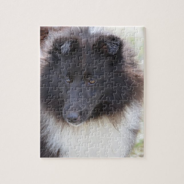 Adorable Sheltie Jigsaw Puzzle (Vertical)