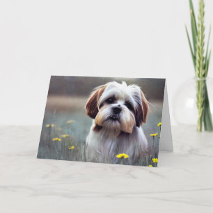 Adorable Shih Tzu Birthday Card