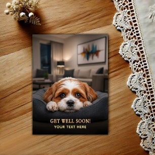 Adorable Shih Tzu Get Well Postcard