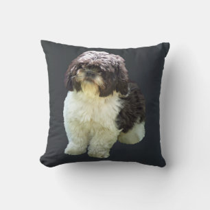 Adorable Shih Tzu Puppy Cushion