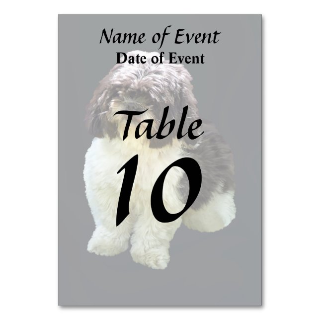 Adorable Shih Tzu Puppy Table Number (Front)