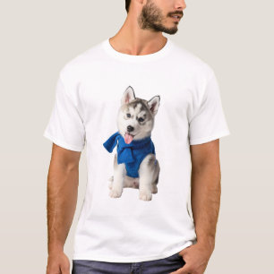 Adorable Siberian Husky Puppy Wearing Blue Knitted T-Shirt