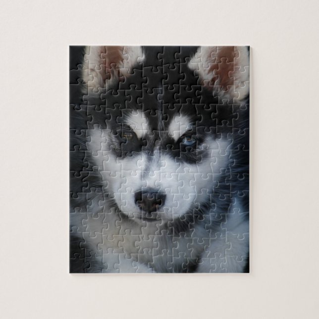 Adorable Siberian Husky Sled Dog Puppy Jigsaw Puzzle (Vertical)