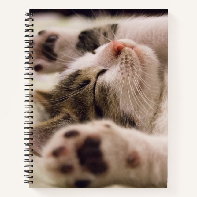 Adorable sleeping kitten spiral notebook (Front)