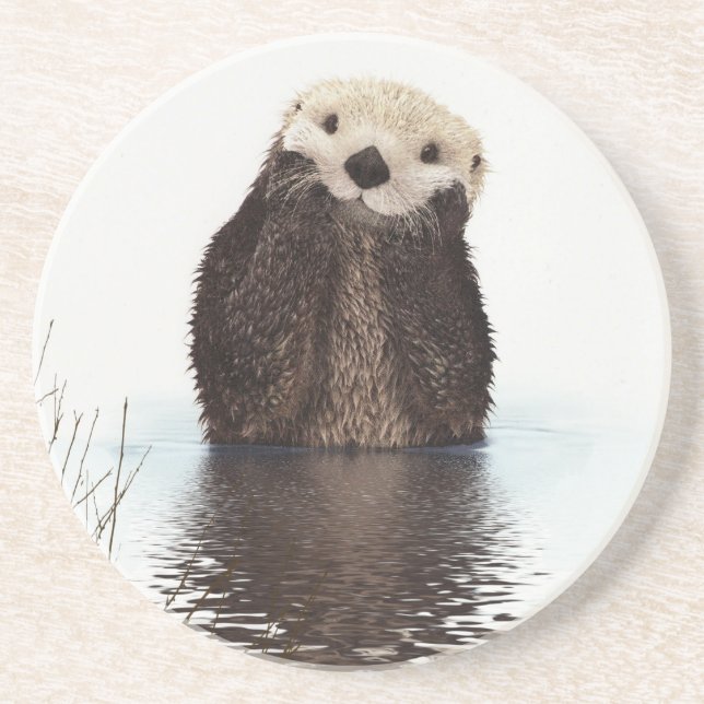 Adorable Smiling Otter in Lake Coaster (Front)