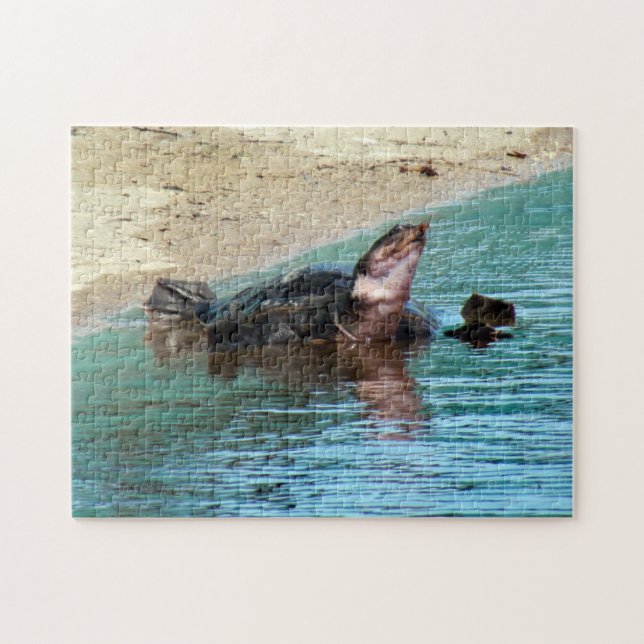 Adorable Soft Shell Turtle at the Beach Jigsaw Puzzle (Horizontal)