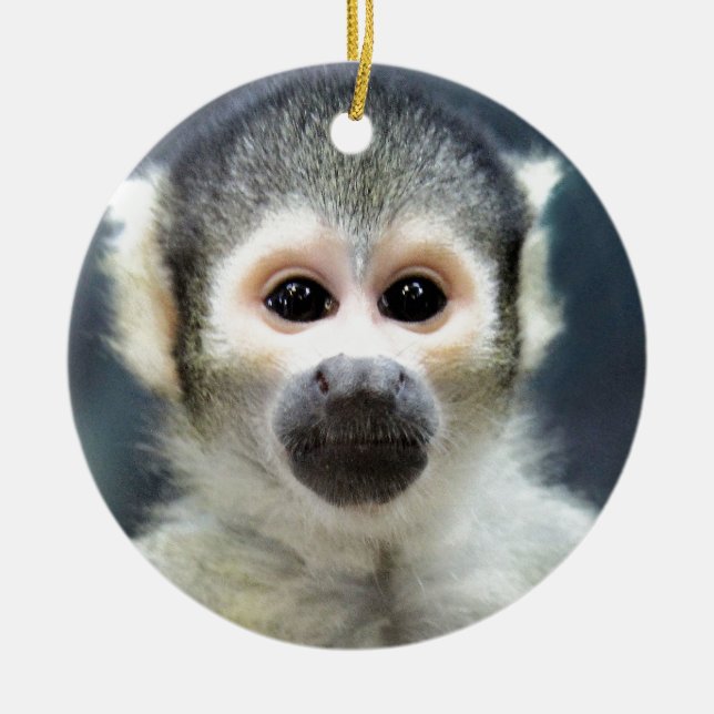 Adorable Spider Monkey Ceramic Ornament (Front)
