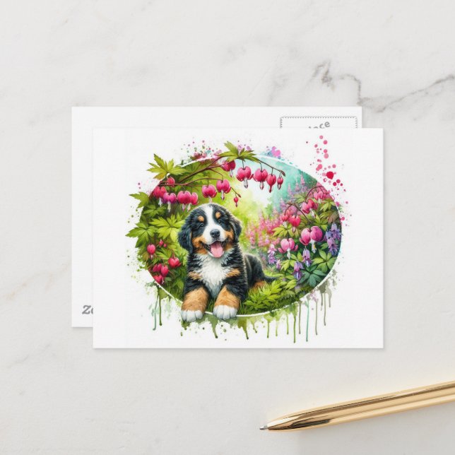 Adorable Spring Bernese Mountain Dog Postcard (Front/Back In Situ)