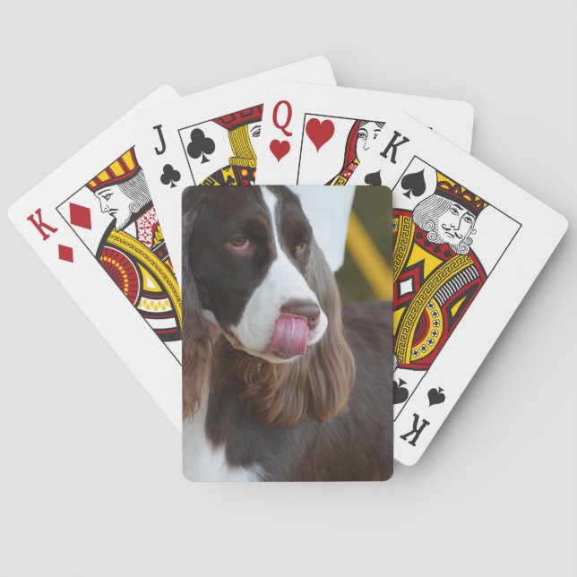 Adorable Springer Spanial Playing Cards (Back)