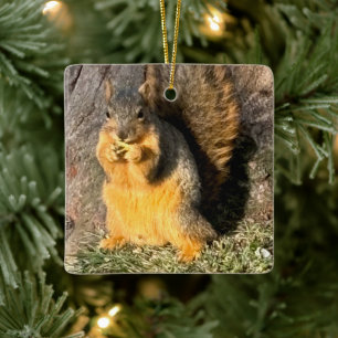 Adorable Squirrel  Ceramic Ornament