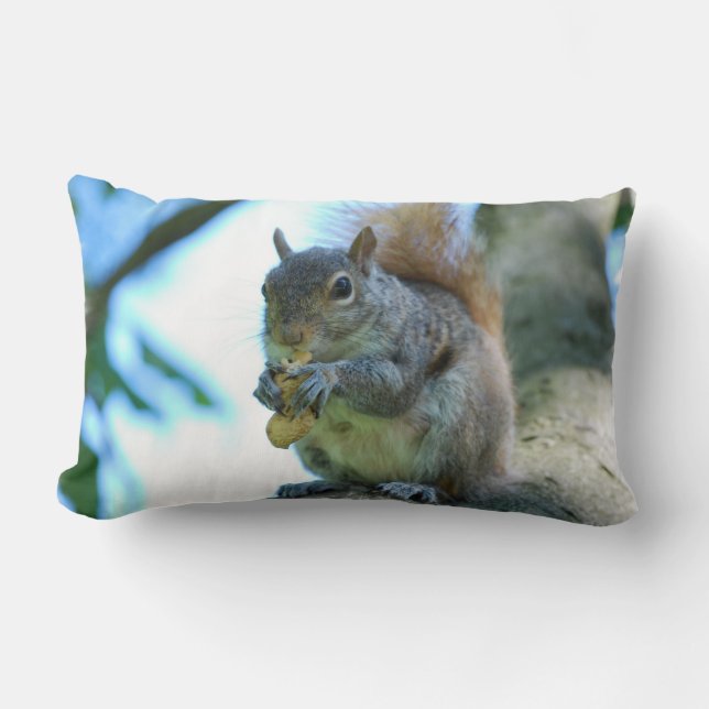 Adorable Squirrel Lumbar Cushion (Front)