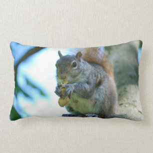 Adorable Squirrel Lumbar Cushion