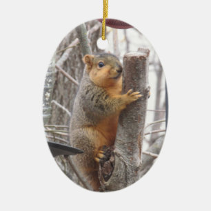 Adorable Squirrel Photo Christmas Ceramic Ornament